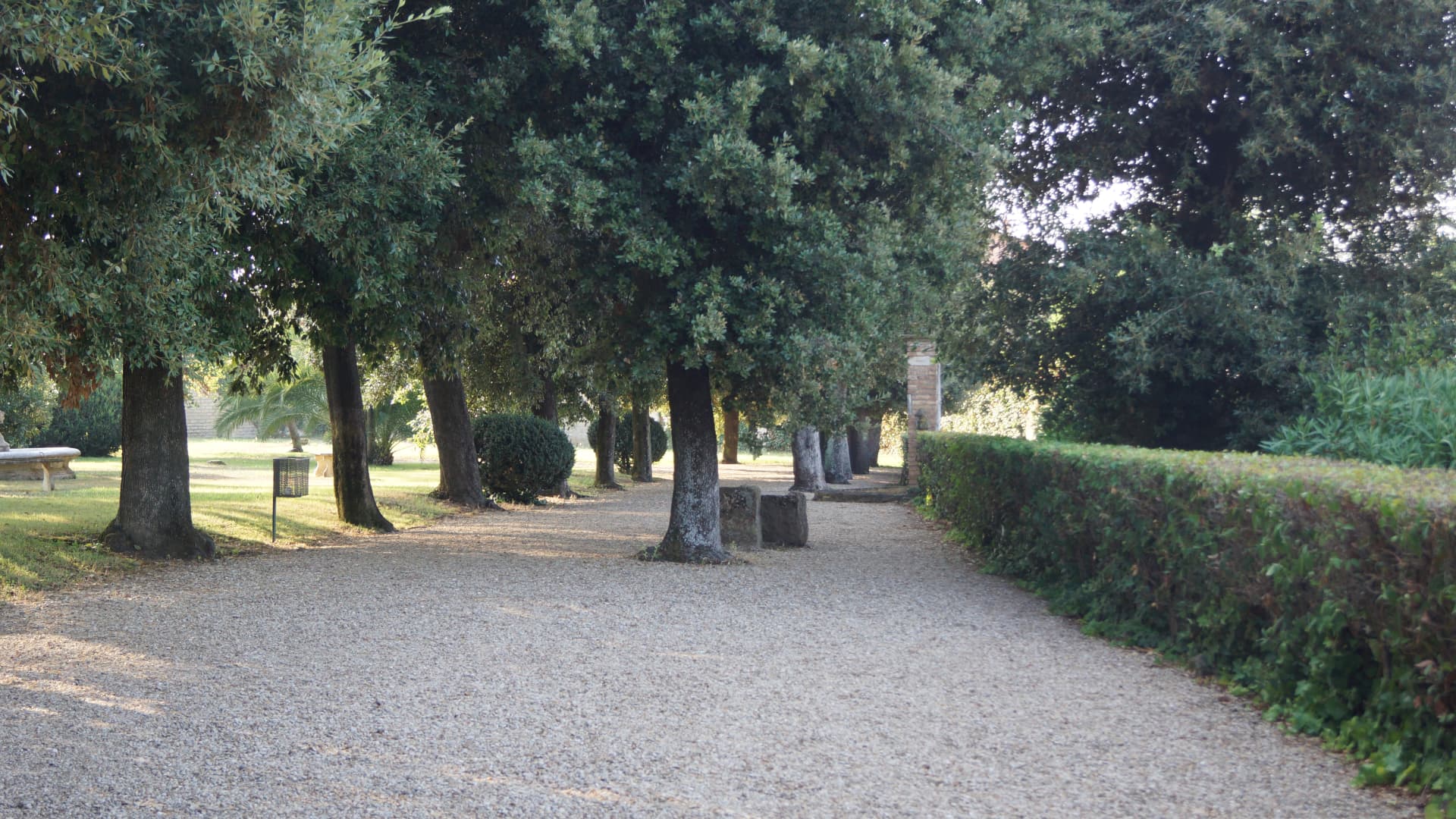 Viale alberato nel parco